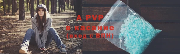 ешки Алексин