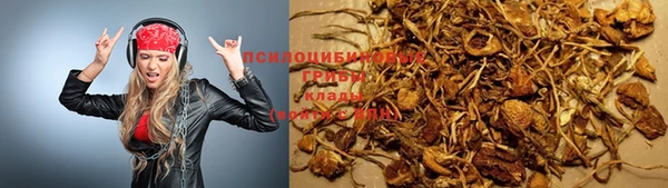 ешки Алексин