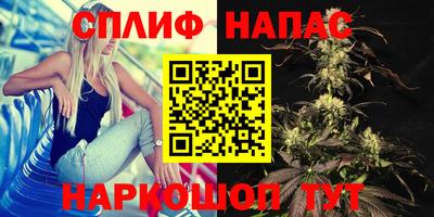 трава Шебекино