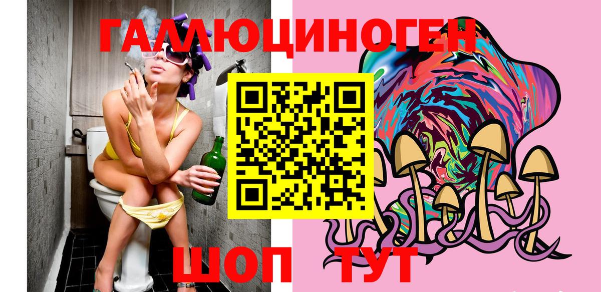 Астрахань  Галлюциногенные грибы Cubensis  Вход с VPN 